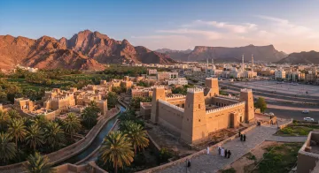 افضل شركة تصميم مواقع في نجران