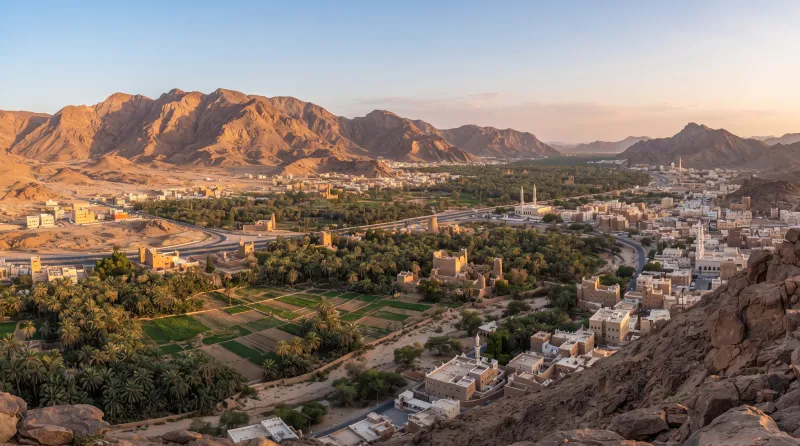 افضل شركة تصميم مواقع في حوطة بني تميم